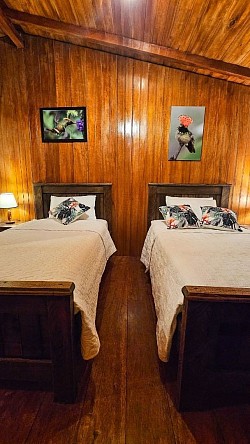 Coqueta Room en Buglas Lodge Ecuador – habitación doble con Wi-Fi, desayuno y observación de aves incluida